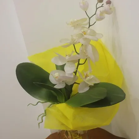 Terra D'amuri Boutique Affittacamere Catania